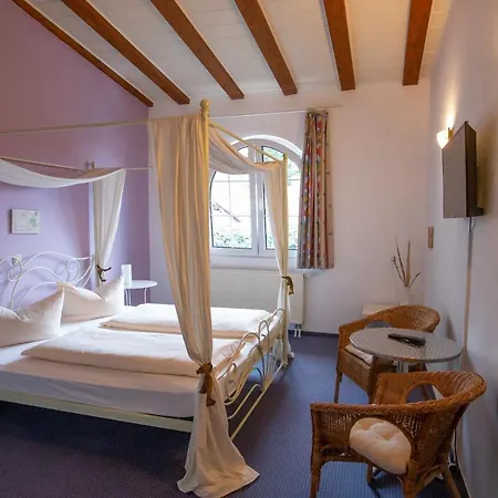 Apparthotel Dolgesheim *