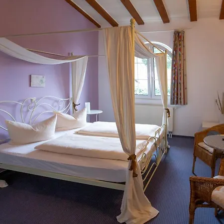 Apparthotel Dolgesheim *