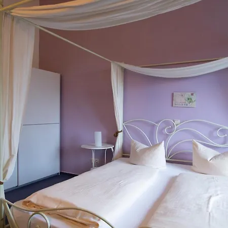 Apparthotel Dolgesheim Отель типа 